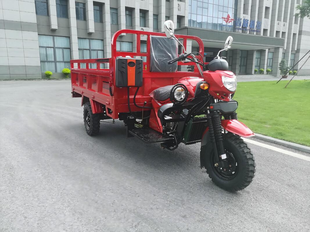 Gasoline 150cc Air-Cooled Cargo Tricycle, WY Classic Style with Canopy & Hard Top, 1.6m Cargo Box, Inner-Floating Rear Axle, 800kg Load Capacity