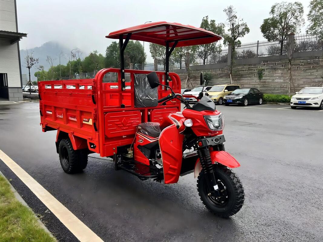 Gasoline 200cc Water-Cooled Cargo Tricycle, L9 Model, 2.2m Heavy-Duty Cargo Box, Full-Floating Booster Rear Axle, 800kg Load Capacity