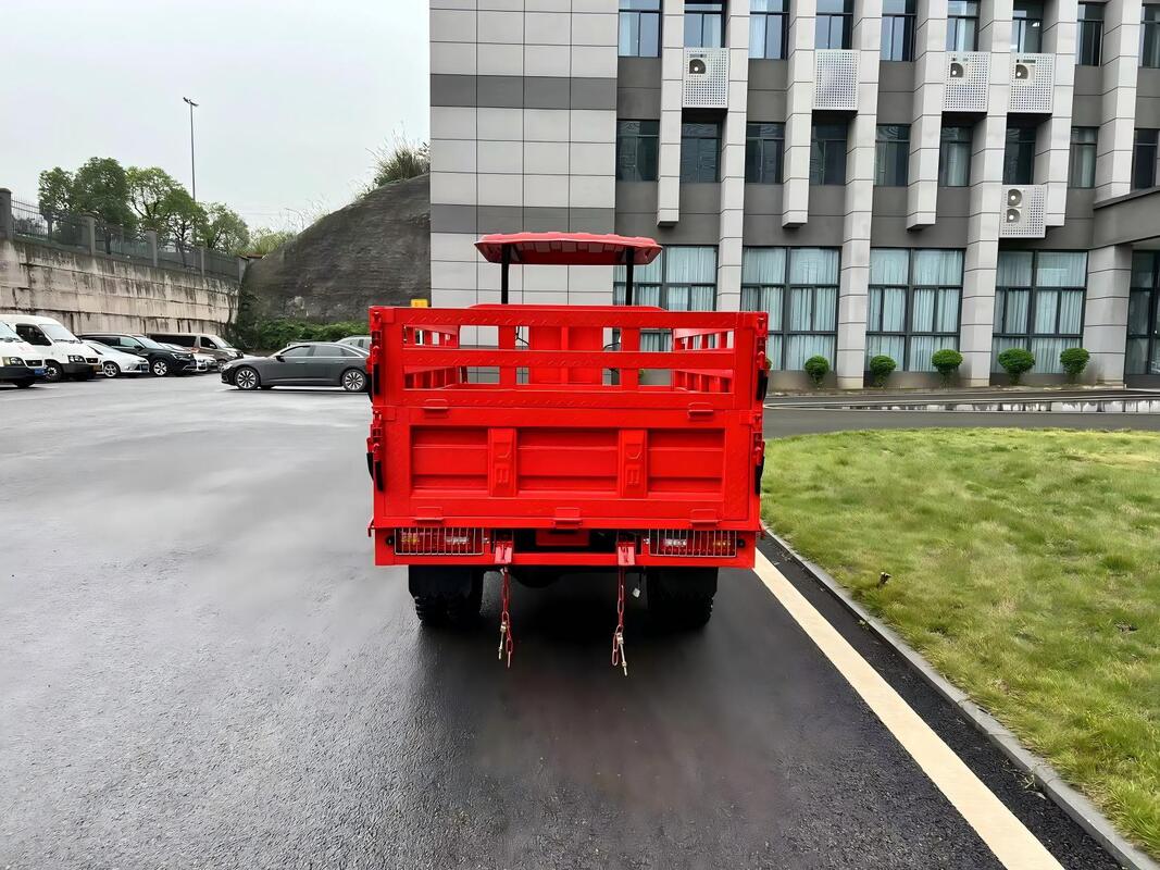 Gasoline 200cc Water-Cooled Cargo Tricycle, L9 Model, 2.2m Heavy-Duty Cargo Box, Full-Floating Booster Rear Axle, 800kg Load Capacity
