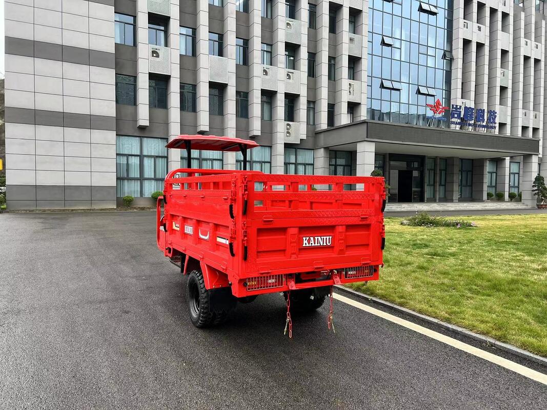 Gasoline 200cc Water-Cooled Cargo Tricycle, L9 Model, 2.2m Heavy-Duty Cargo Box, Full-Floating Booster Rear Axle, 800kg Load Capacity